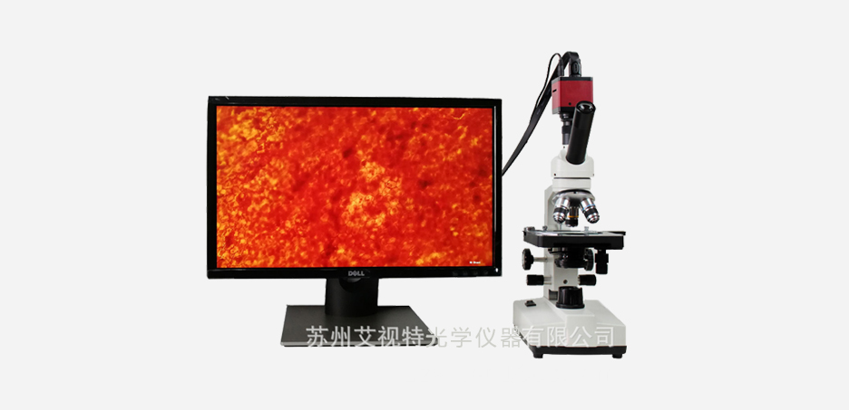 A32ST 生物显微镜2.jpg