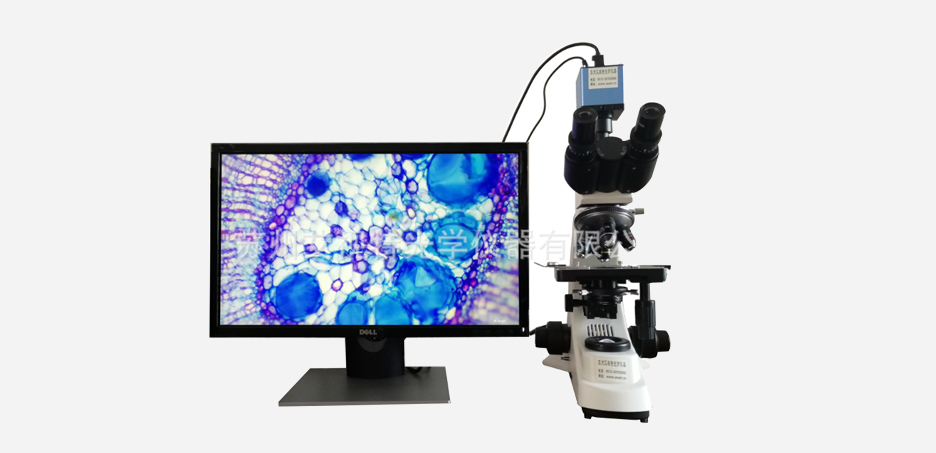 A500ST生物显微镜2.jpg